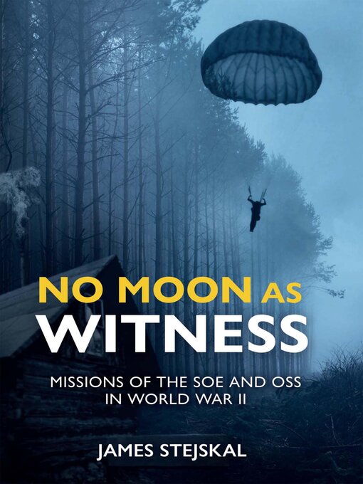 Title details for No Moon as Witness by James Stejskal - Available
